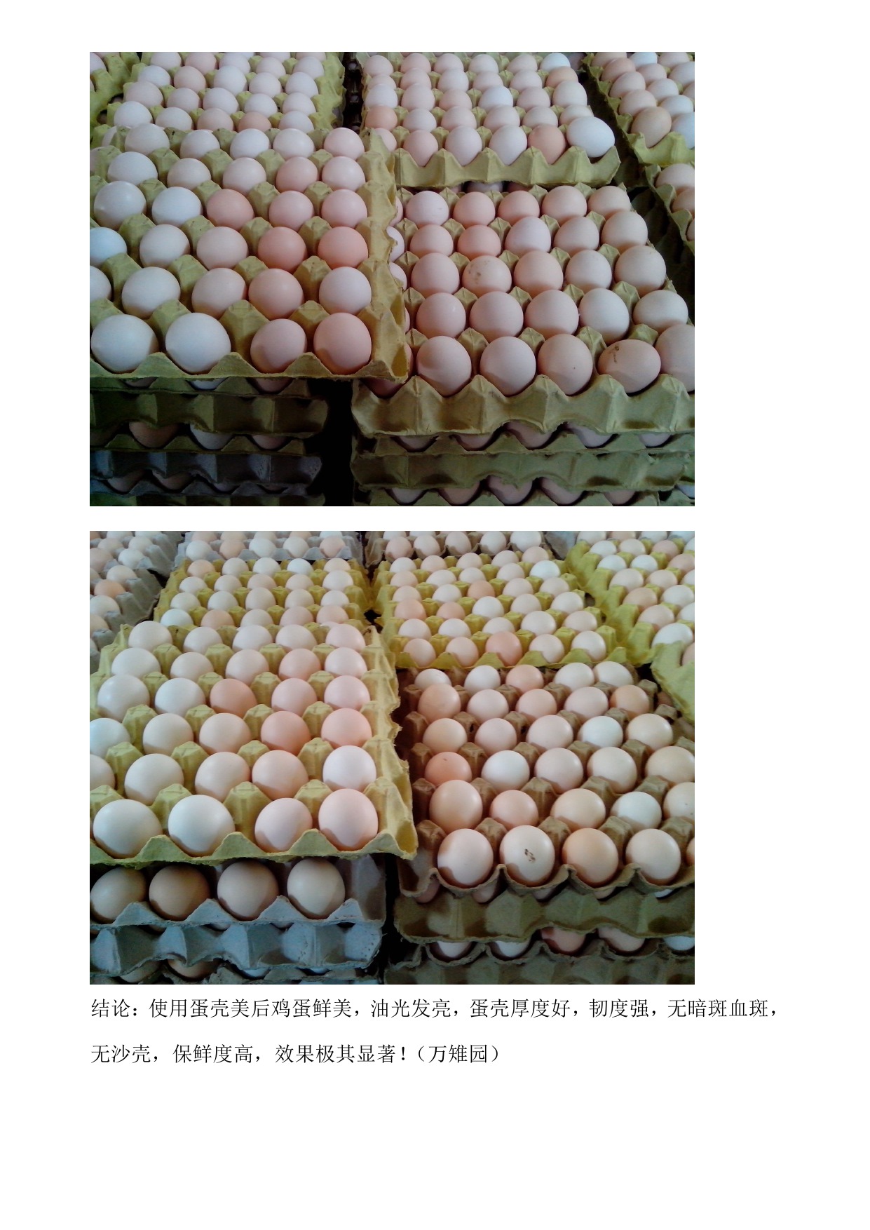 j9国际站(中国)集团官网