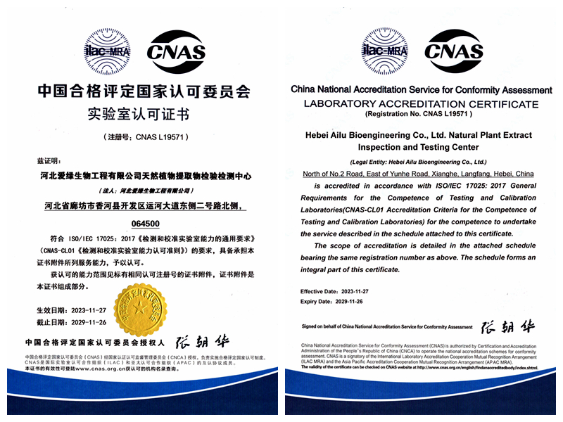 j9国际站(中国)集团官网